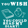 diary diary